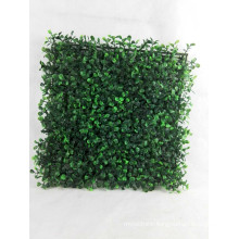 High Quality Buxus Grass Mat, Buxus Grass, Buxus Mat